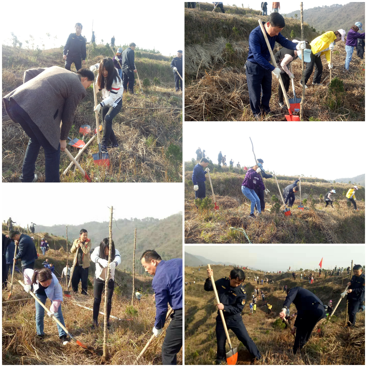 图片1.png 图片1.png